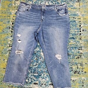 Lane Bryant  Size 26 Blue Ankle Cropped Jeans